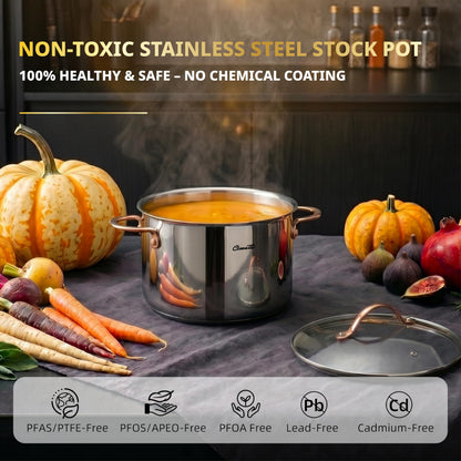 Ciwete 8-Quart Tri-Ply Stainless Steel Stock Pot with fresh vegetables and safety icons highlighting non-toxic, PFOA-free, and lead-free design