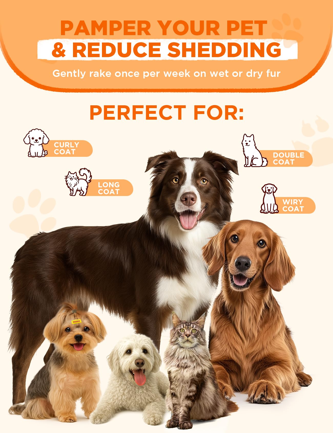 Promotional lifestyle graphic featuring the FEELNEEDY Dual-Sided Pet Steam Brush alongside a golden retriever, highlighting key features including IPX6 waterproof construction, a rechargeable battery, and a healthy pet grooming system design.