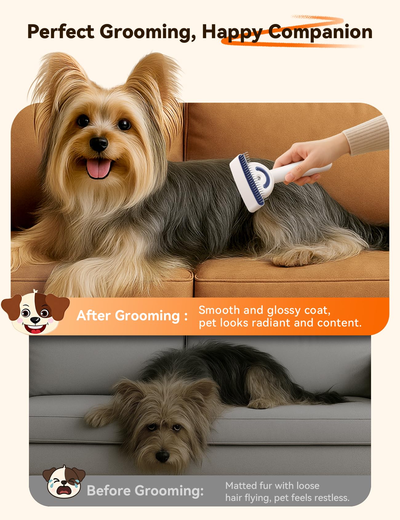 Promotional lifestyle photo showing a Yorkshire Terrier on a couch before and after grooming with the FEELNEEDY Dual-Sided Pet Steam Brush, demonstrating a smooth and glossy coat outcome.