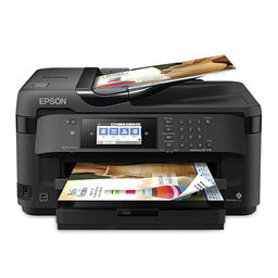 Epson WorkForce WF-7710 Printer Ink